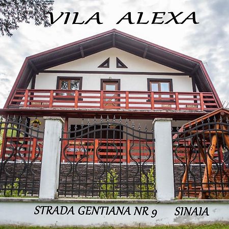 Casa Alexa Villa Sinaia Exteriör bild